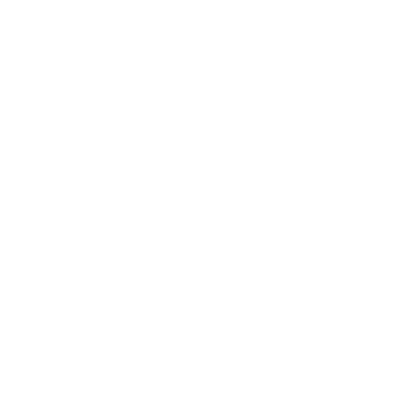 Bianchi Paralegal Services
